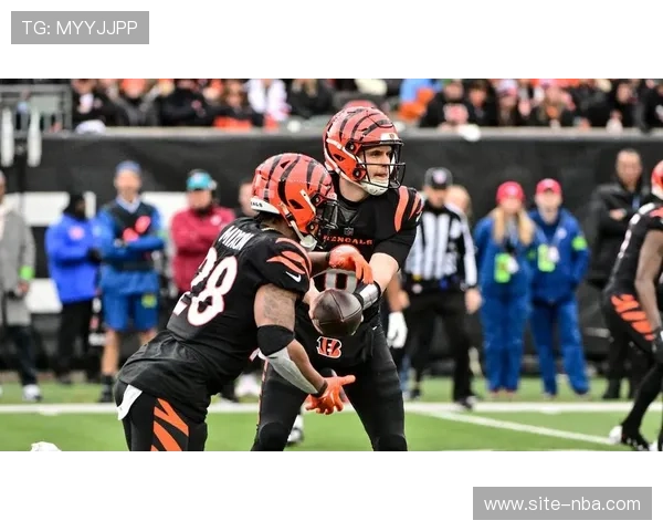 包装工34-27客胜雄狮，乐福四传球达阵锁定季后赛希望